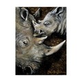 Trademark Fine Art Cherie Roe Dirksen 'Rhinos Pattern' Canvas Art, 14x19 ALI41313-C1419GG